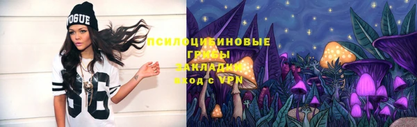дживик Горно-Алтайск