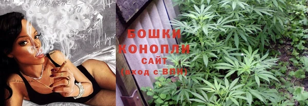 крисы Горнозаводск