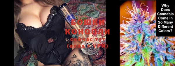спайс Вяземский