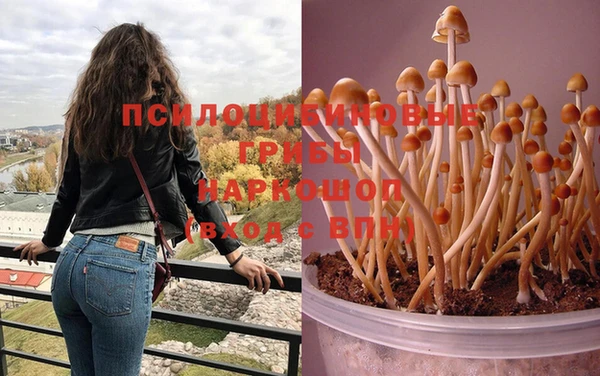 крисы Горнозаводск