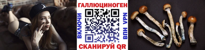 даркнет сайт Электросталь Галлюциногенные грибы GOLDEN TEACHER